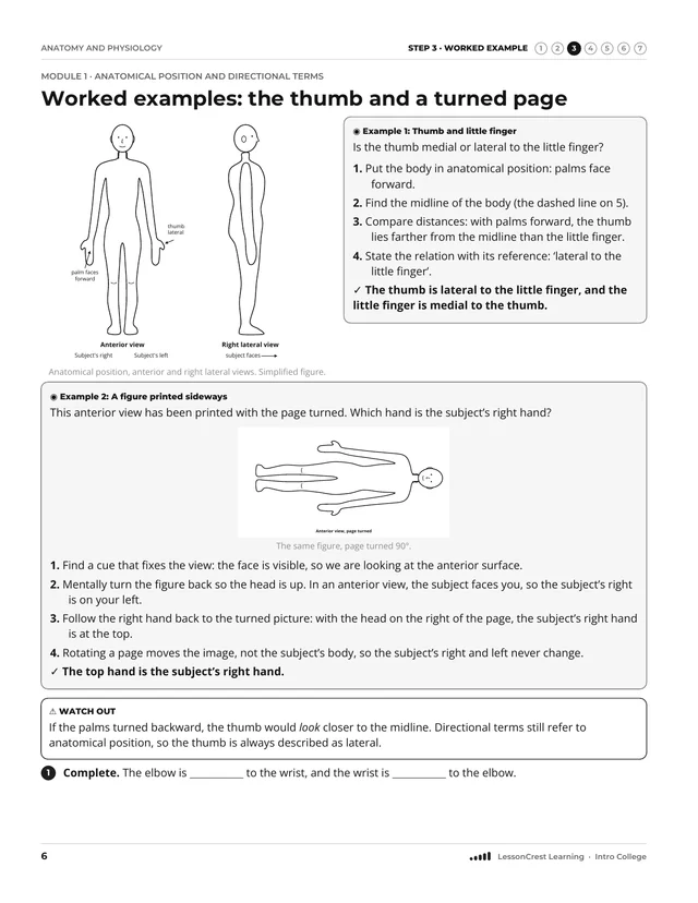 Page 6 of Anatomy and Physiology: Terms, Planes, and Tissues. Step 3, Worked Example: Worked examples: the thumb and a turned page