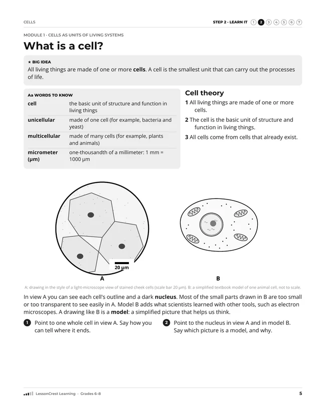 Page 5 of Cells. Step 2, Learn It: What is a cell?