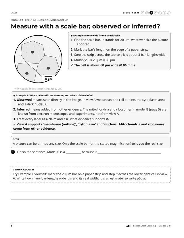 Page 6 of Cells. Step 3, See It: Measure with a scale bar; observed or inferred?