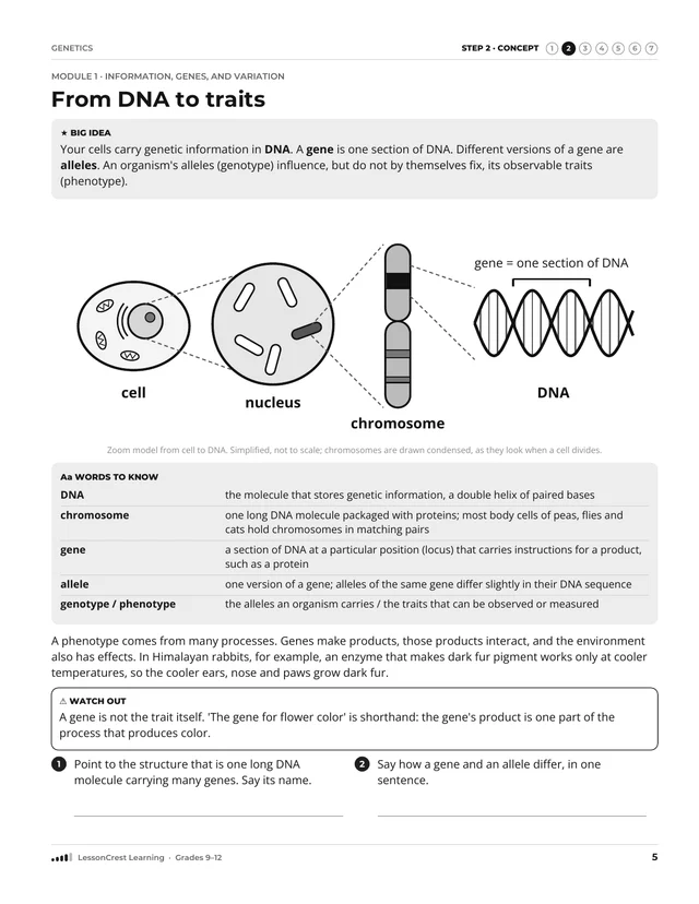 Page 5 of Genetics. Step 2, Concept: From DNA to traits