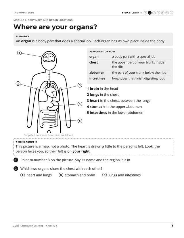 Page 5 of The Human Body. Step 2, Learn It: Where are your organs?